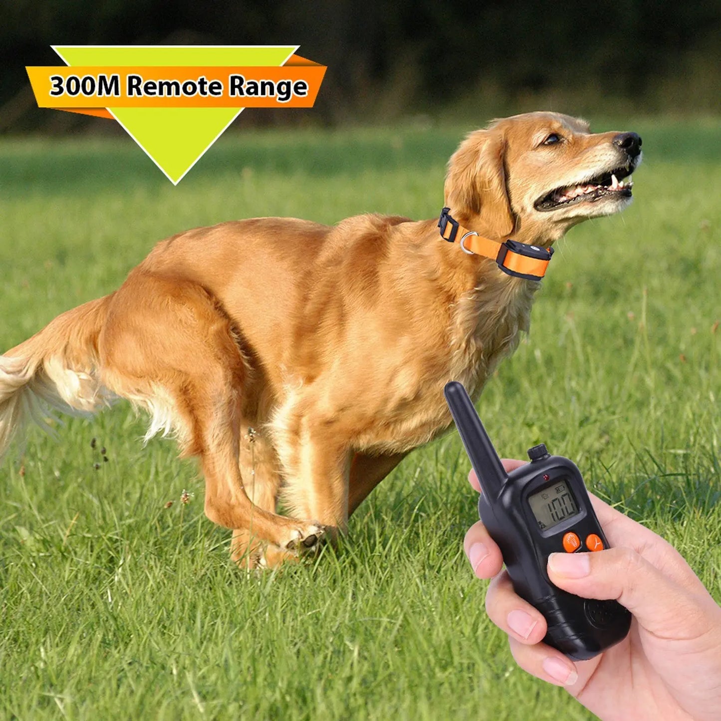Rechargeable Dog Training Collar 300m Remote Control