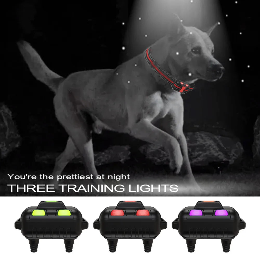 Nylon Pet Training Collar Remote Controlled