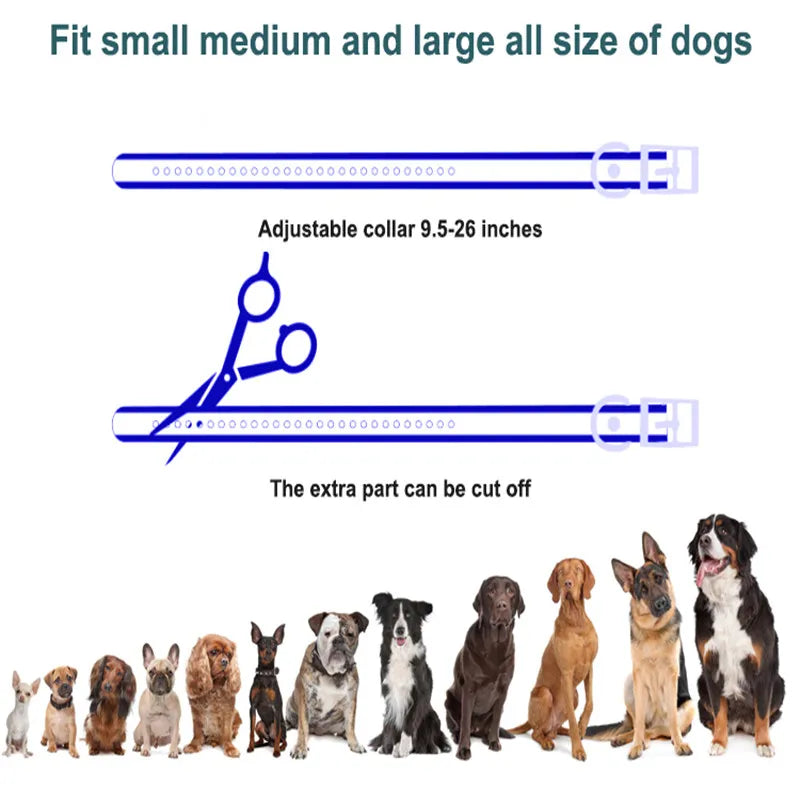 Wireless Dog Training Collar 1000m Range