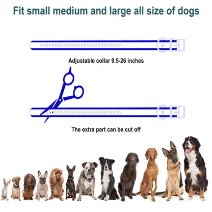 Wireless Dog Training Collar 1000m Range