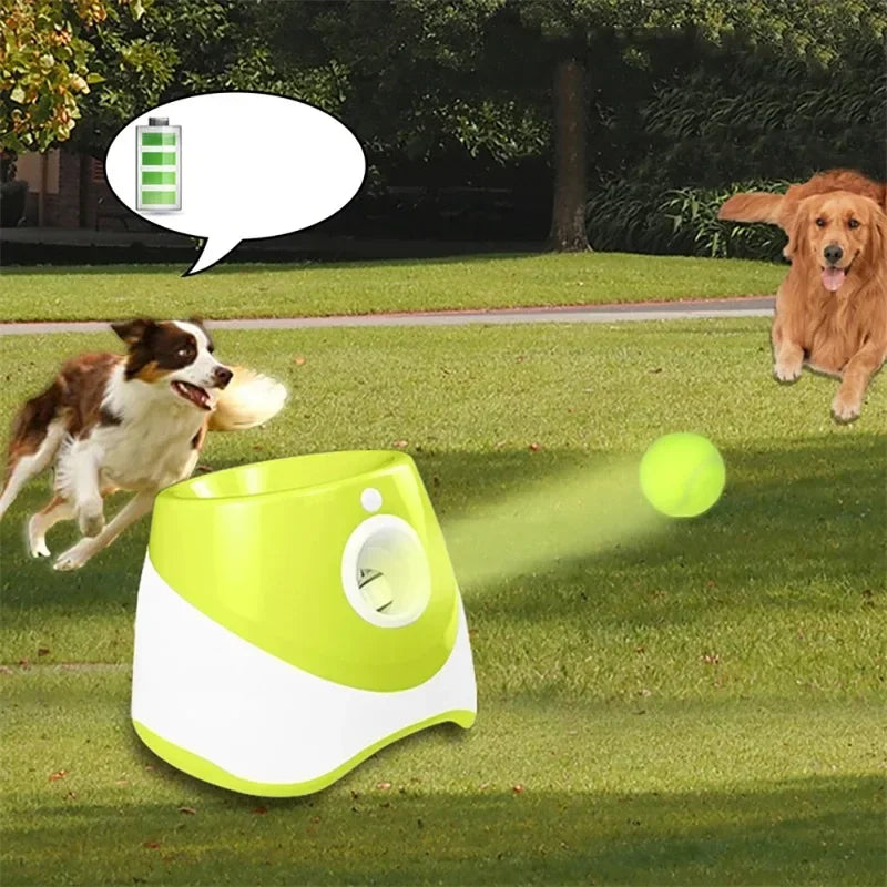Automatic Dog Ball Launcher Interactive