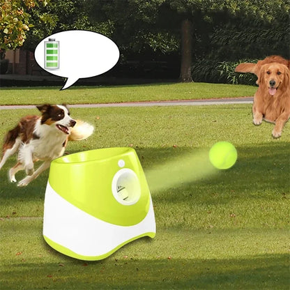Automatic Dog Ball Launcher Interactive