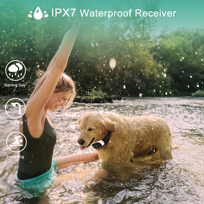 Rechargeable Waterproof Dog Training Collar Remote