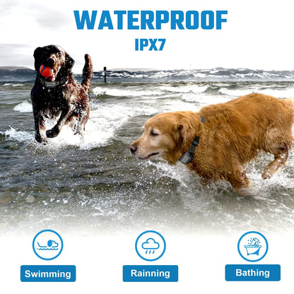 Waterproof Remote Dog Training Collar System