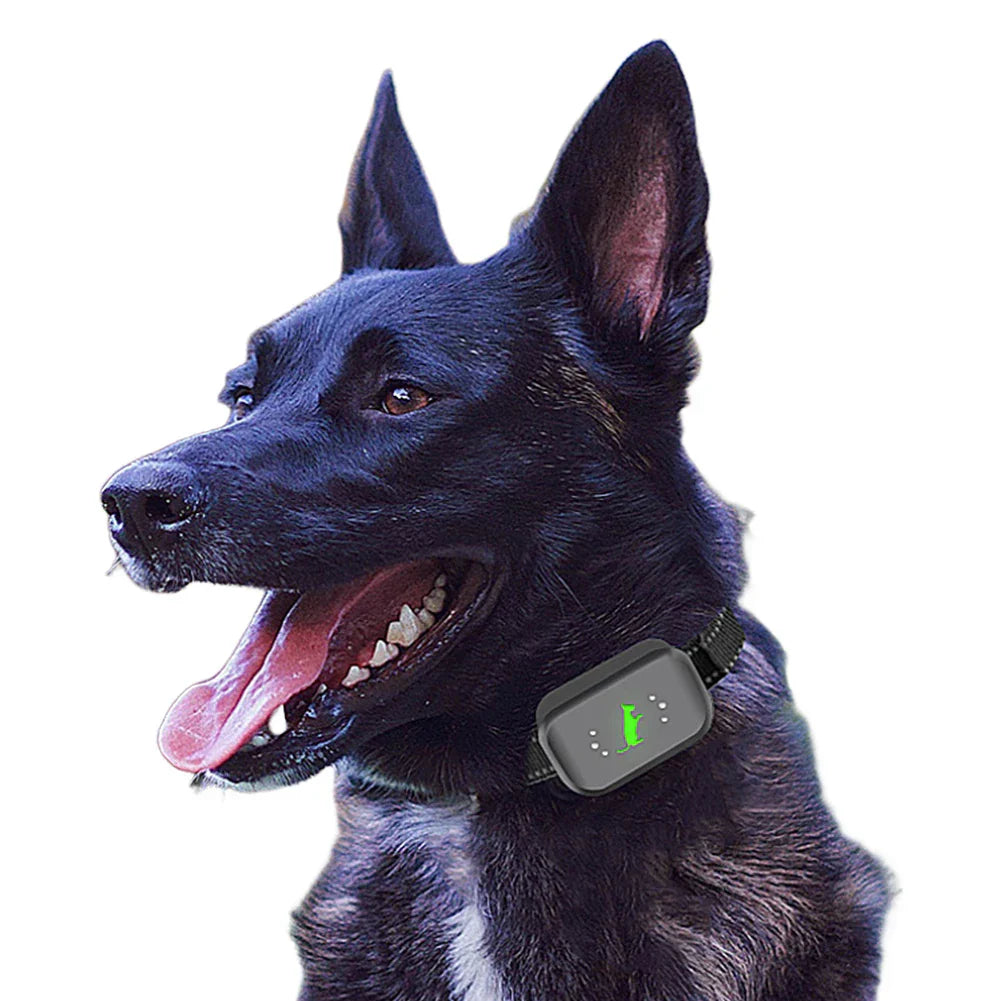 Remote Dog Trainer Collar Long Range All Sizes