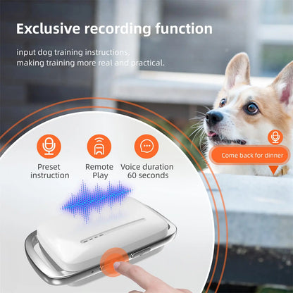 Rechargeable Long Range Electric Dog Training Collar