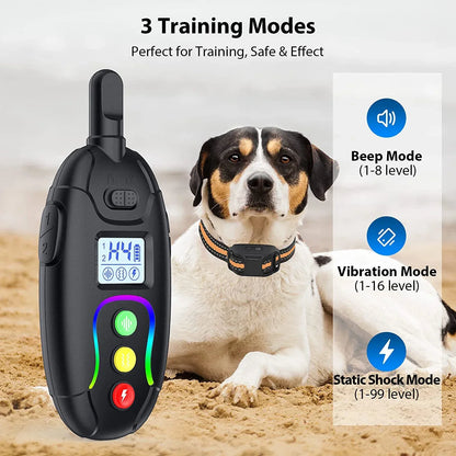 Rechargeable Waterproof Dog Training Collar Remote Control
