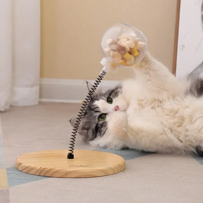 Cat Spring Action Toy