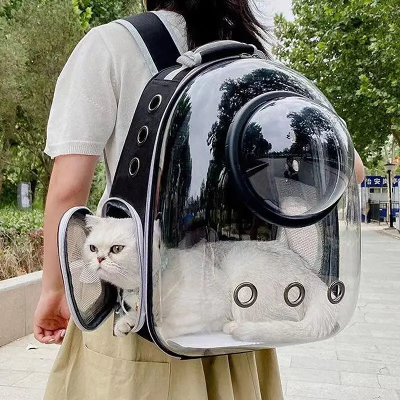 Transparent Pet Backpack Carrier