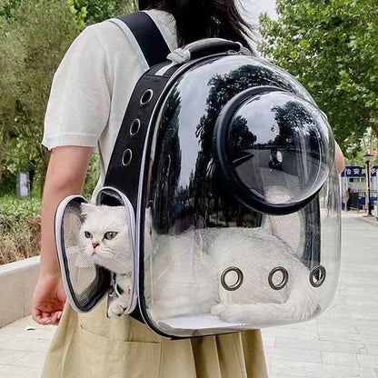 Transparent Pet Backpack Carrier
