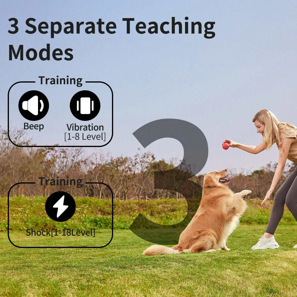 Long Range Dog Training Collar Color LCD Remote
