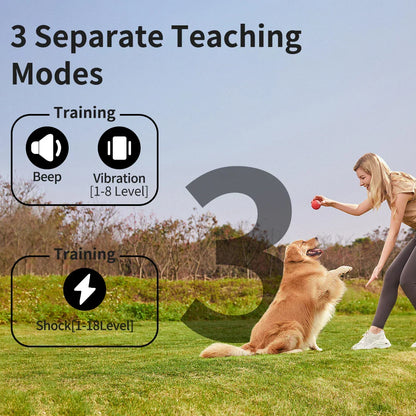 Long Range Dog Training Collar Color LCD Remote