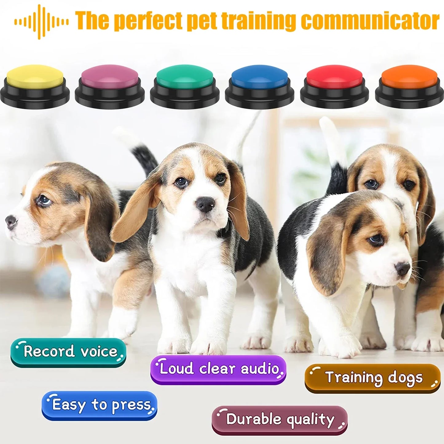 Recordable Pet Sound Buttons Set of 4 or 6