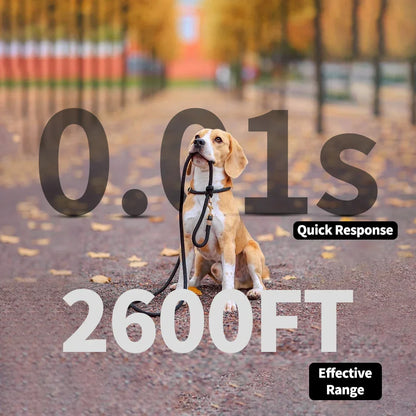 Long Range Dog Training Collar Color LCD Remote