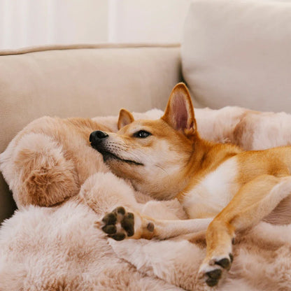 Pet Sofa Cover with Pillow for Small Dogs Cats