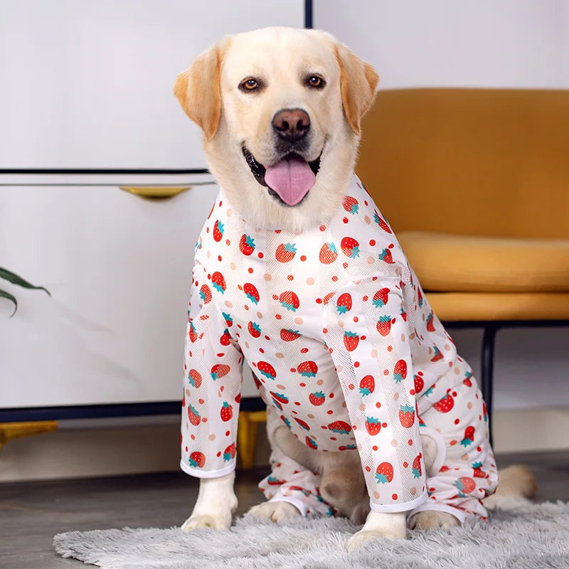 Pet Sun Protection Suit Uv Guard