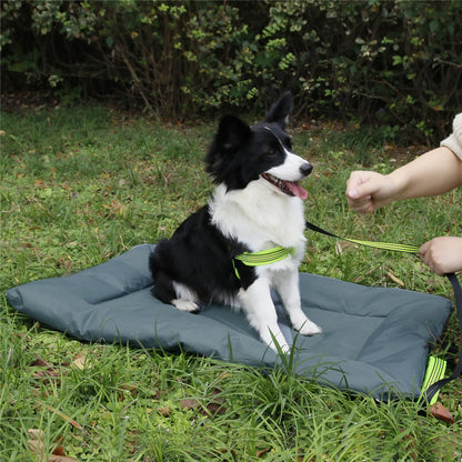 Waterproof Pet Travel Mat