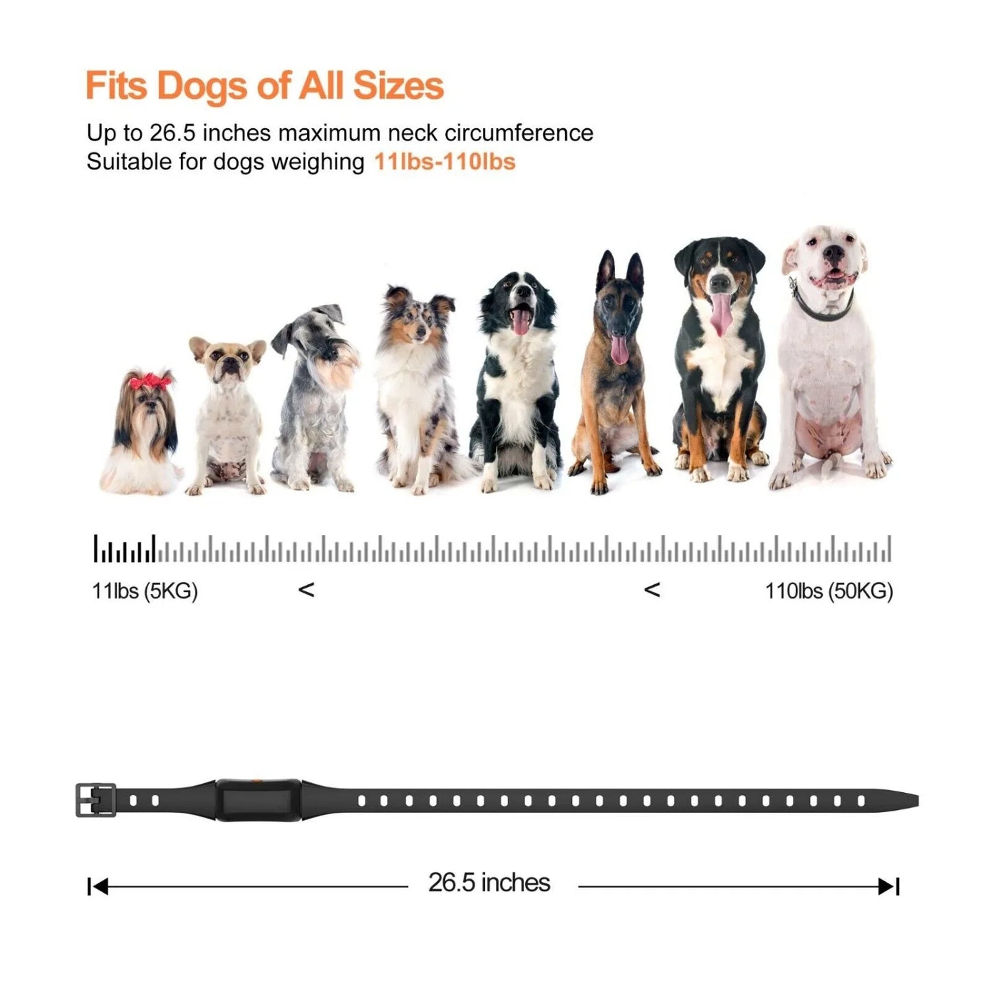 Rechargeable Long Range Dog Training Collar Remote