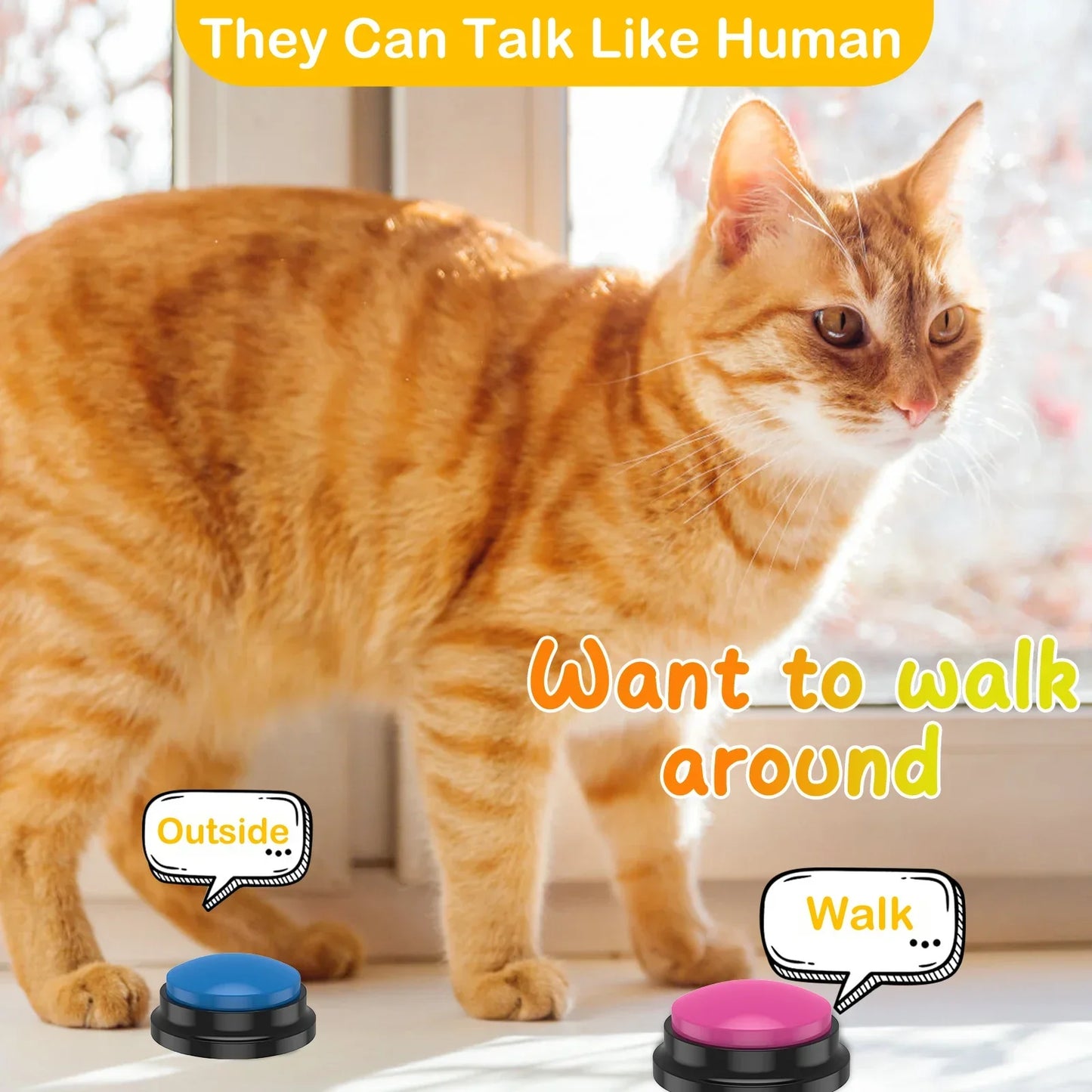 Recordable Pet Sound Buttons Set of 4 or 6