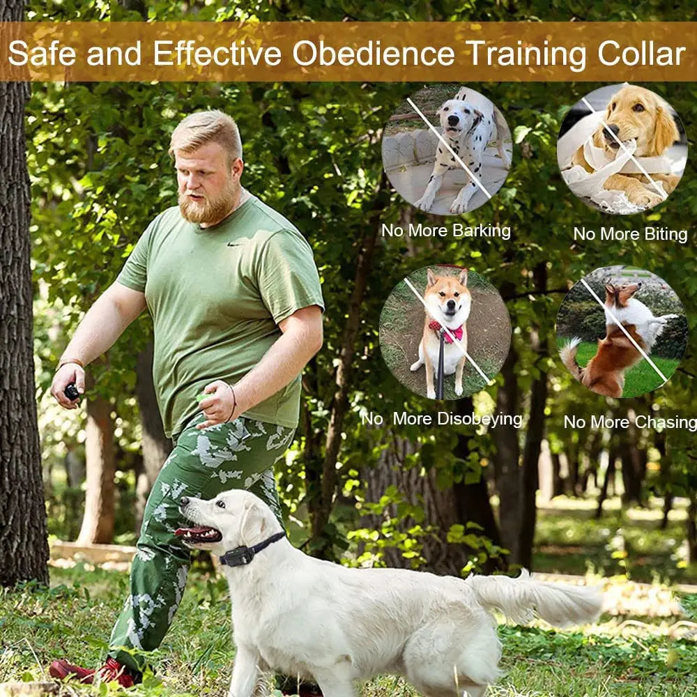 Rechargeable Long Range Dog Training Collar