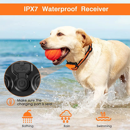 Dog Training Collar Set Remote Control