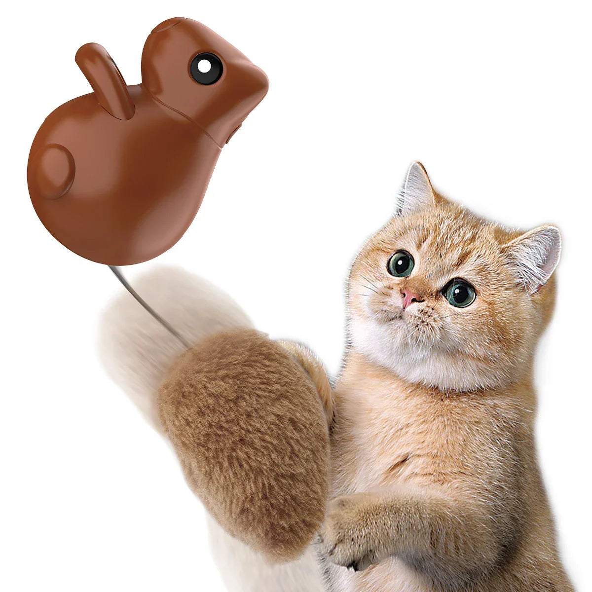 Cat Squirrel Tail Toy Interactive