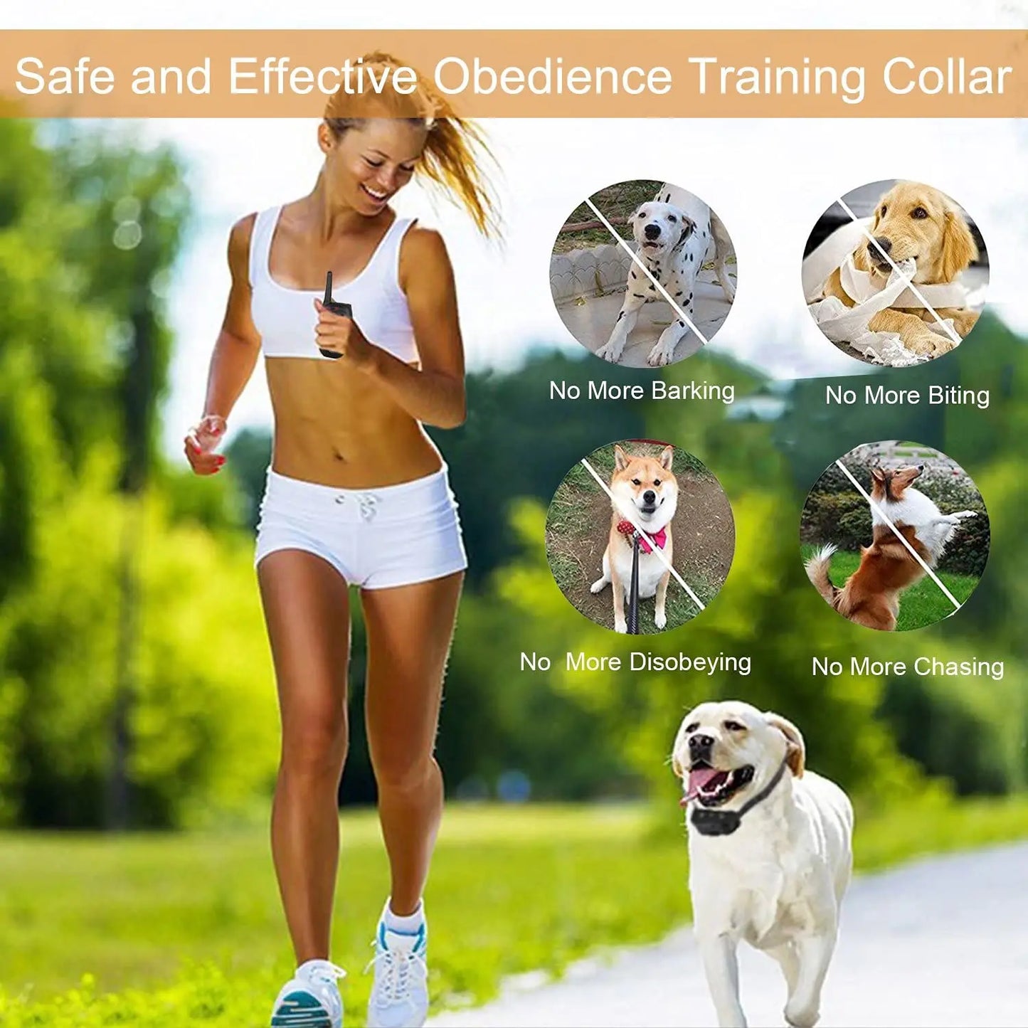 Rechargeable Long Range Dog Training Collar