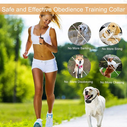 Rechargeable Long Range Dog Training Collar