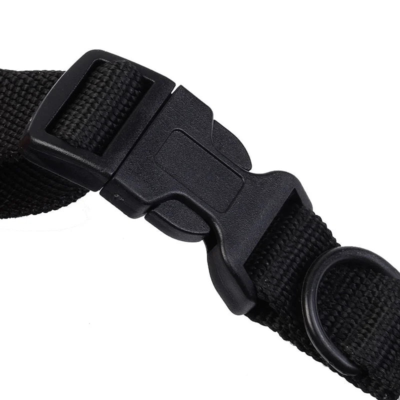 Rechargeable Dog Training Collar 300m Remote Control