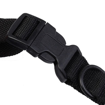 Rechargeable Dog Training Collar 300m Remote Control