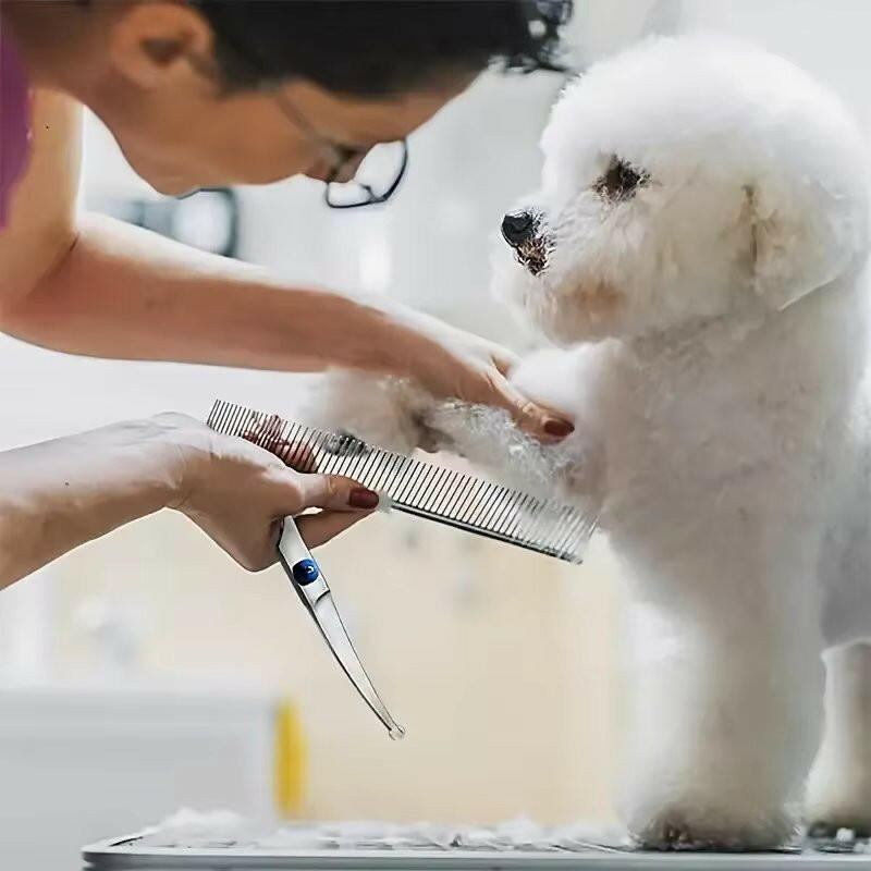 Pet Grooming Kit Scissors Comb Set