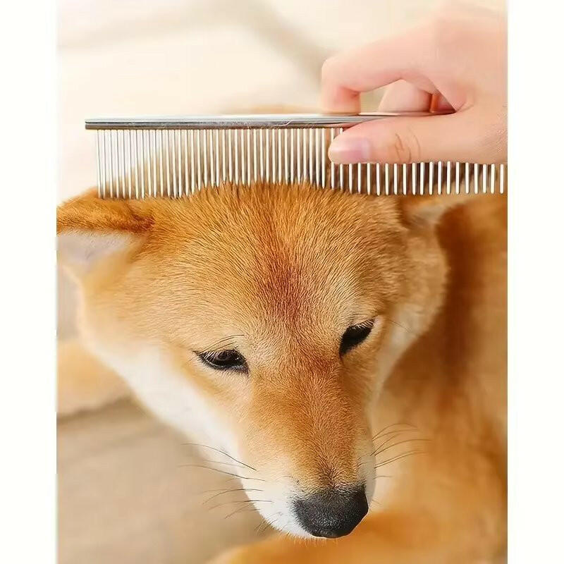 Pet Grooming Kit Scissors Comb Set