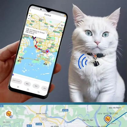 White cat wearing a GPS tracker with a smartphone displaying a map and location tracking app