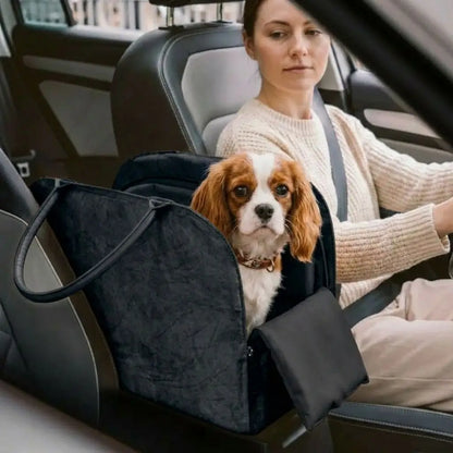 Woman driving a car with a dog in a pet seat cover