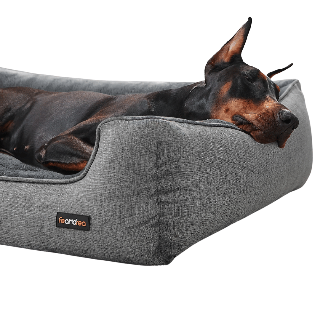 XXL Dog Bed with Supportive Raised Edges & Washable Cover for Large Dogs 3