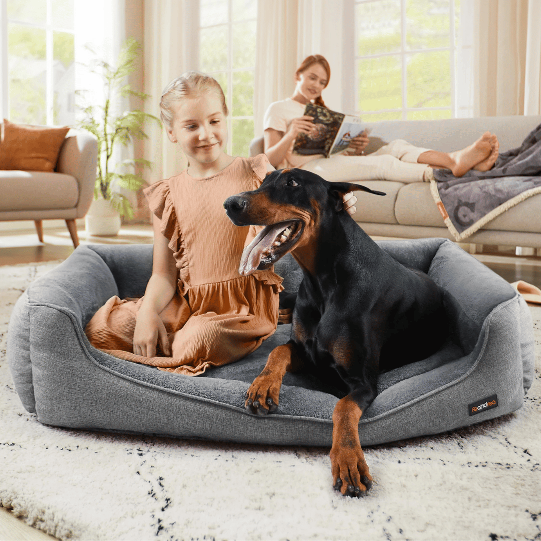 XXL Dog Bed with Supportive Raised Edges & Washable Cover for Large Dogs 5