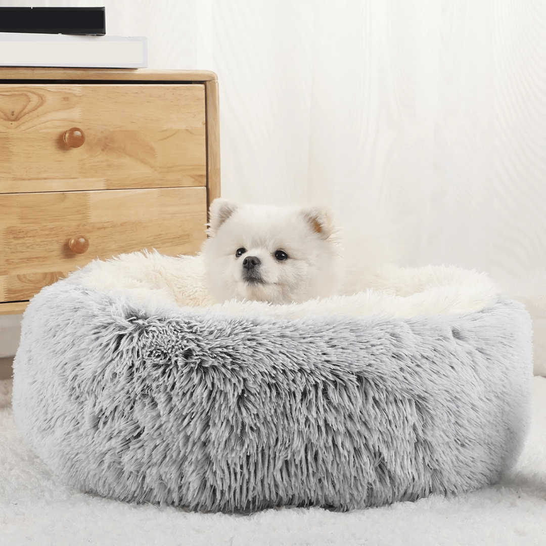 Soft Round Dog Bed - Pupporia