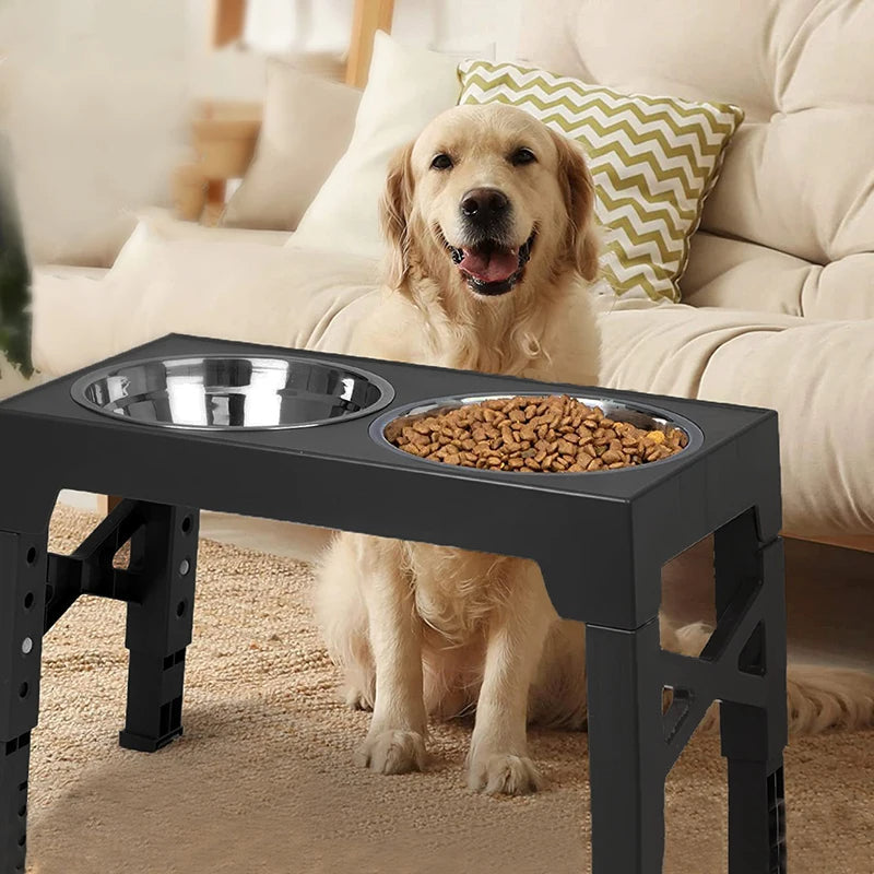 Stainless Steel Elevated Dog Feeder With Bowls