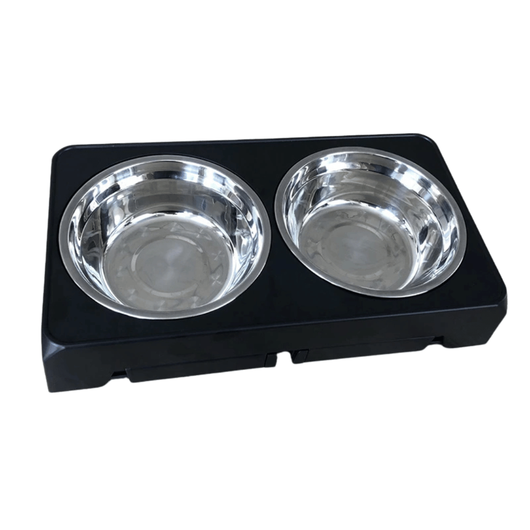 Stainless Steel Elevated Dog Feeder With Bowls