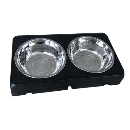 Stainless Steel Elevated Dog Feeder With Bowls