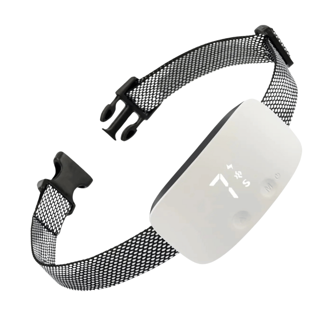 Anti Bark Dog Collar LCD Screen - Pupporia