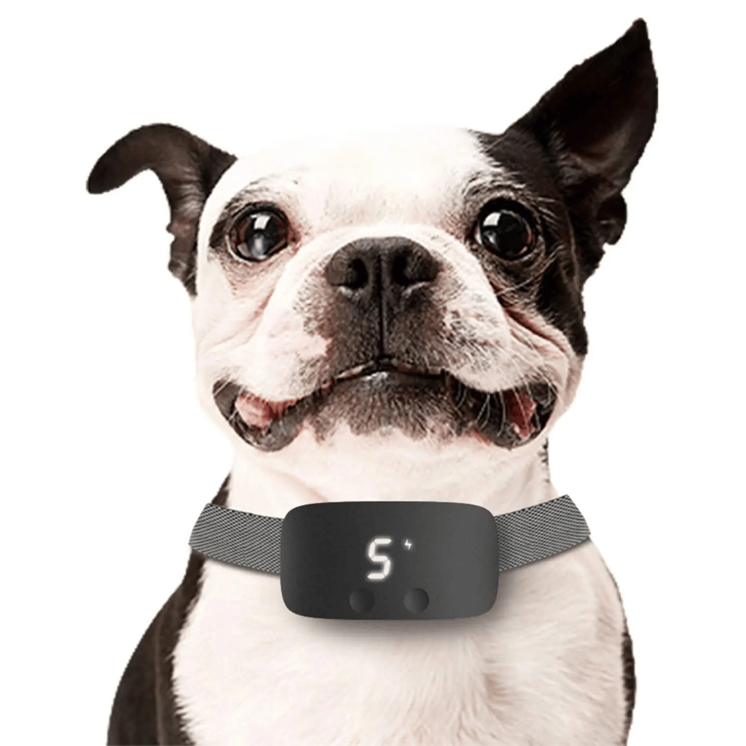 Anti Bark Dog Collar LCD Screen