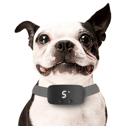 Anti Bark Dog Collar LCD Screen