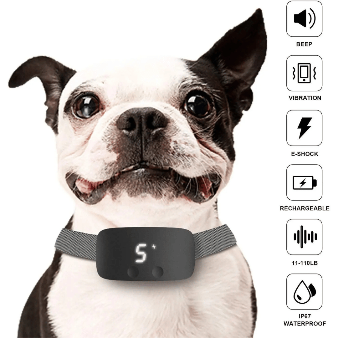Anti Bark Dog Collar LCD Screen