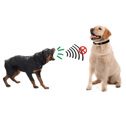 Anti Bark Dog Training Collar