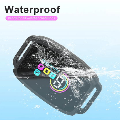 Waterproof Dog Training Collar with LCD Screen