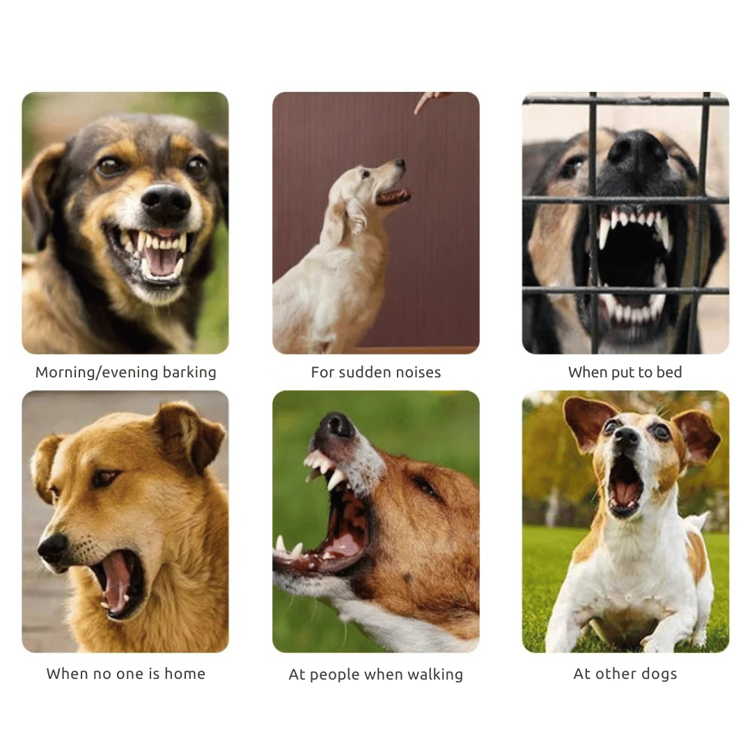 Dog Bark Control Collar Static Shock Anti Bark Trainer