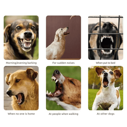 Dog Bark Control Collar Static Shock Anti Bark Trainer