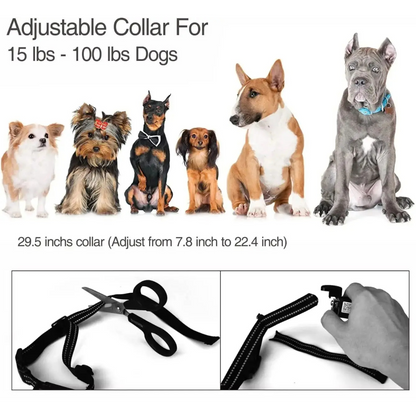 Rechargeable Dog Training Collar Bark Control Device