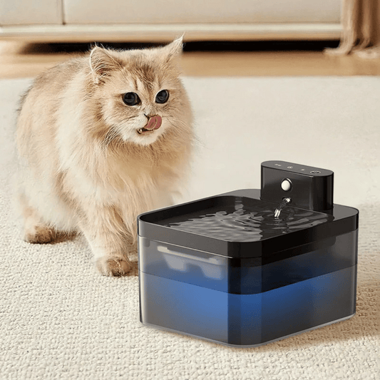 Pet Water Fountain Advanced Sensor Easy Clean - Pupporia